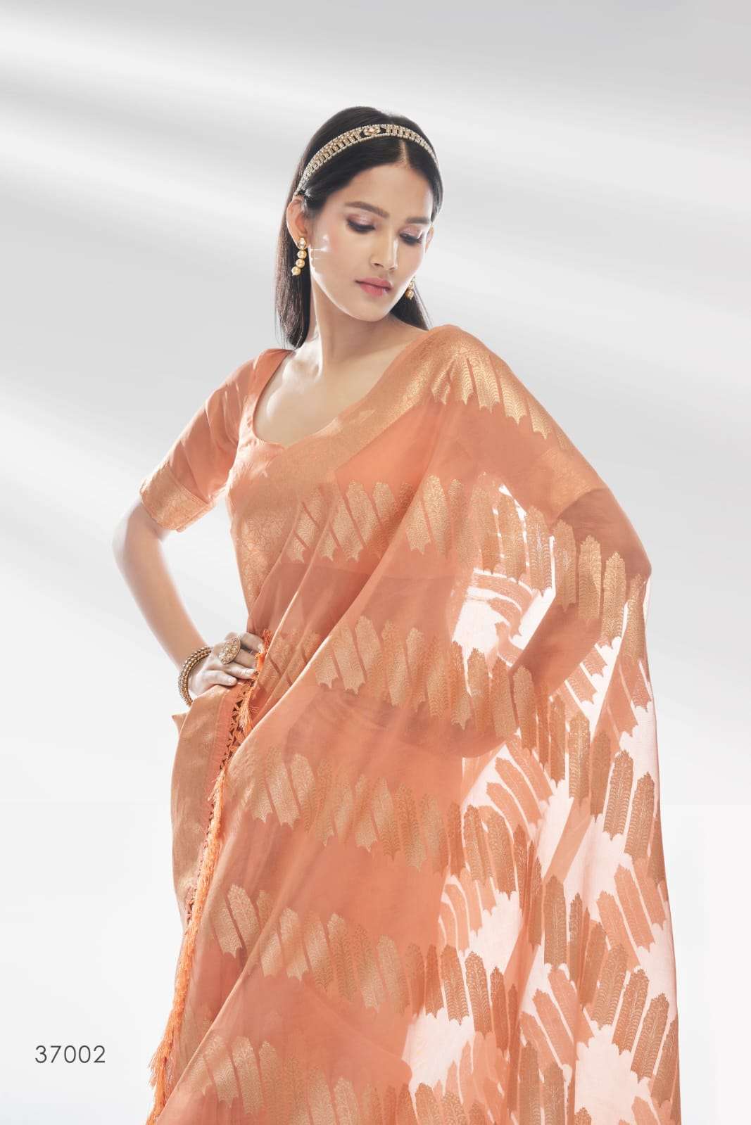 rajpath abhudhai organza new design saree wholesaler 