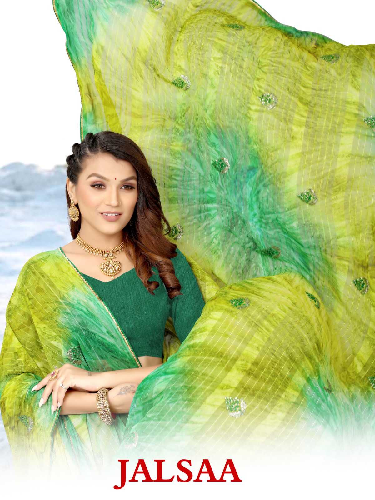 pr jalsaa beautiful multi sequence butta sarees