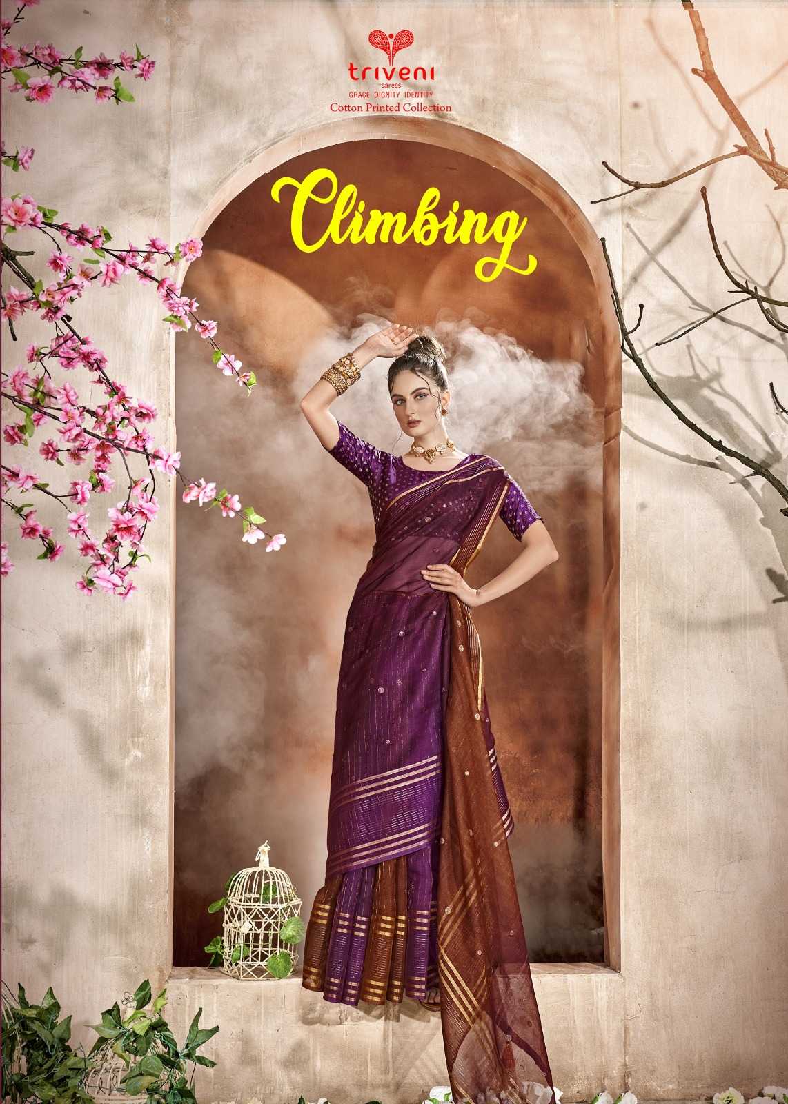 triveni climbing beautiful wear organza saree wholesaler 