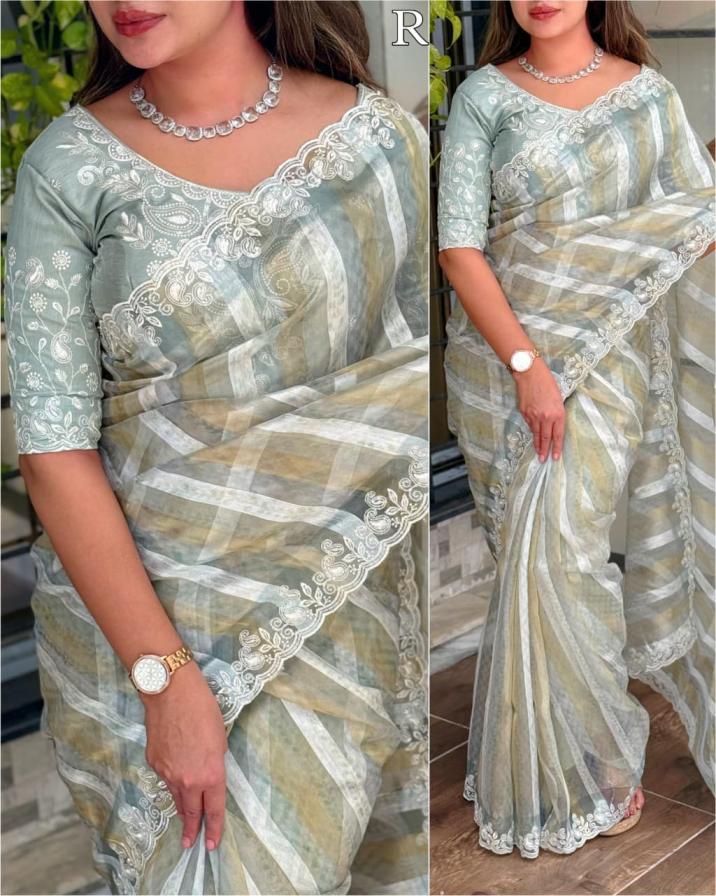 mumtaz tissue taspa organza gorgeous look saree 