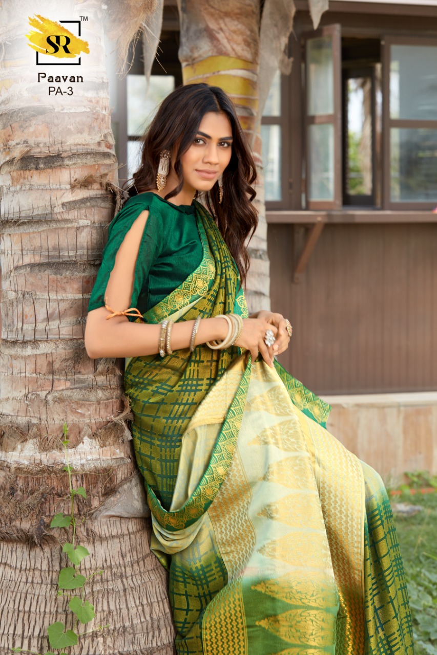 Sr Present Paavan Brasso Pattern Saree Concept Wholesale Price In Surat Market