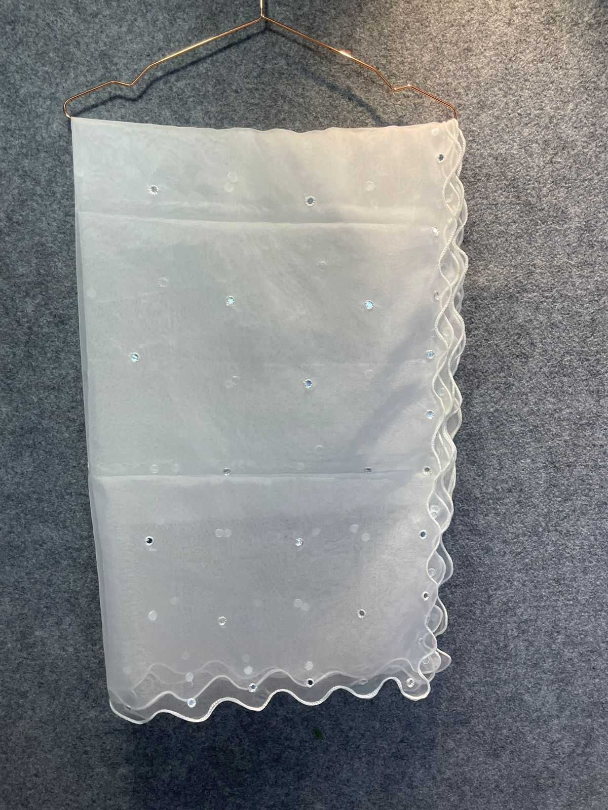 pr organza dyeable amazing dupatta catalog